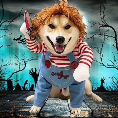 Costume pour chien amusant Woufchucky - blxckfr