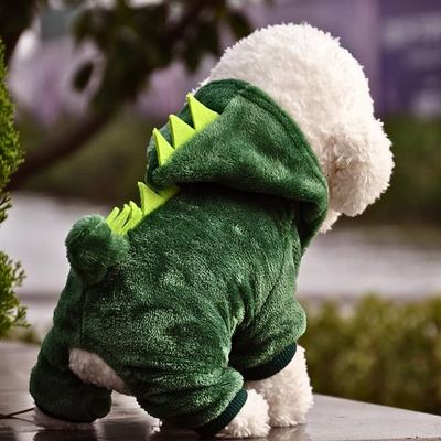 Costume de chien Dinosaure Amusant - blxckfr