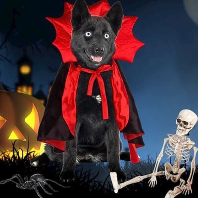 Costume de Diable pour Chien - blxckfr