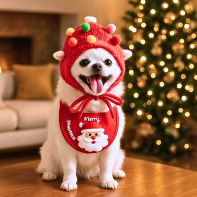 Costume de Noël pour Chien Mignon - blxckfr