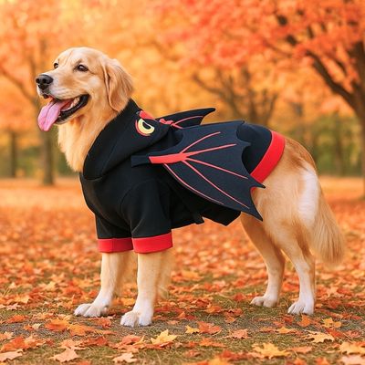 Costume pour chien amusant Otto - blxckfr