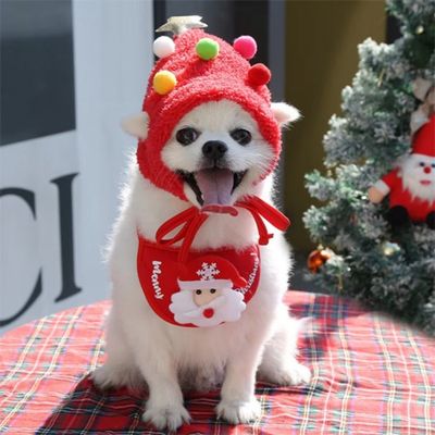 Costume de Noël pour Chien Mignon