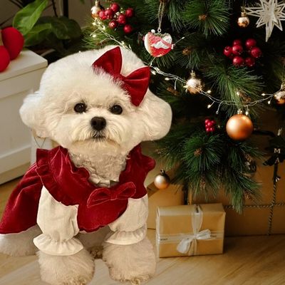 Costume Canin Amusant Bella - blxckfr