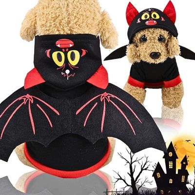 Costume pour chien amusant Otto