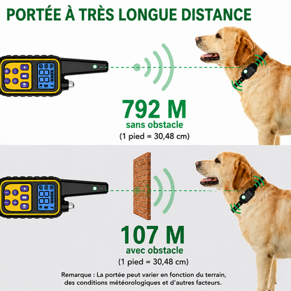 Collier Électrique Dressage Chien Télécommande Étanche