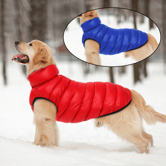 Manteau de pluie pour chien doublé et réversible - blxckfr