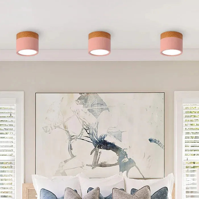 Lumière Élégante - Lampe Plafond Design Petite