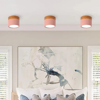 Lumière Élégante - Lampe Plafond Design Petite