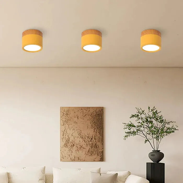 Lumière Élégante - Lampe Plafond Design Petite