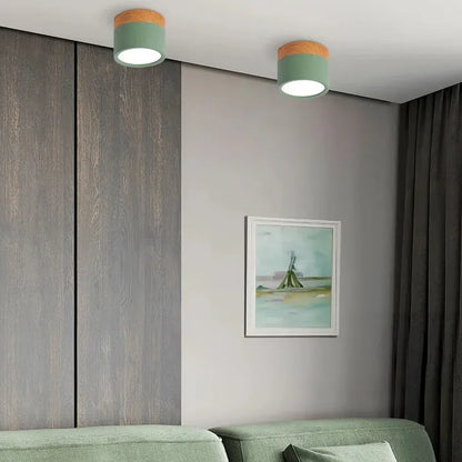 Lumière Élégante - Lampe Plafond Design Petite