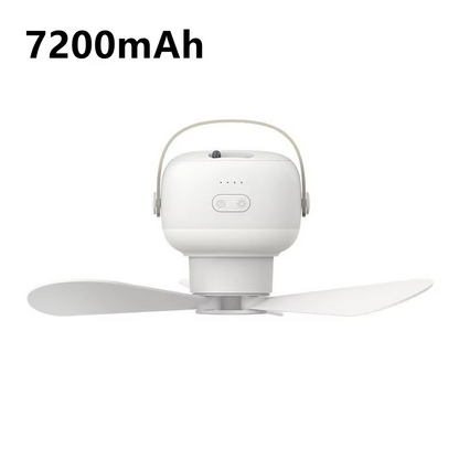 Ventilateur Plafond Léger pour Extérieur