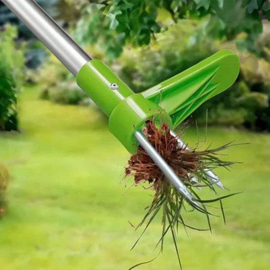 Outil d'arrachage de mauvaises herbes Inox pour jardin - BlxckFR