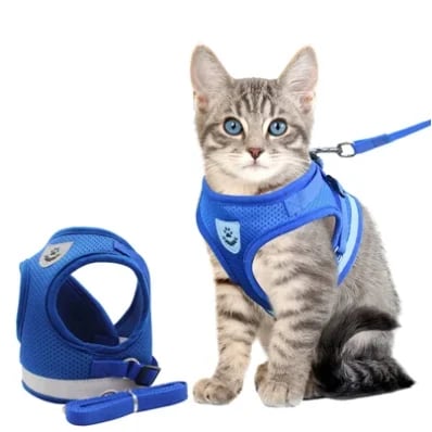 Harnais de Marche Réfléchissant pour Chats Nocturnes