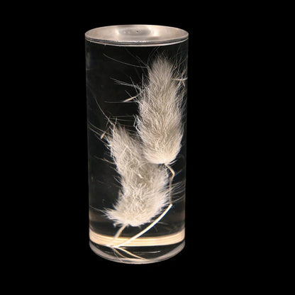 Lampe de Bureau LED Décorative Fleurs