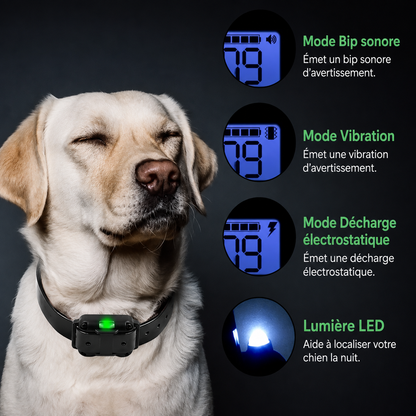 Collier Électrique Dressage Chien Télécommande Étanche