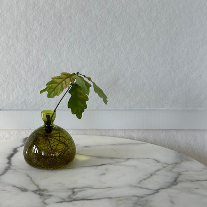 Vase Gland Unisexe en Verre pour Germination - Foivo
