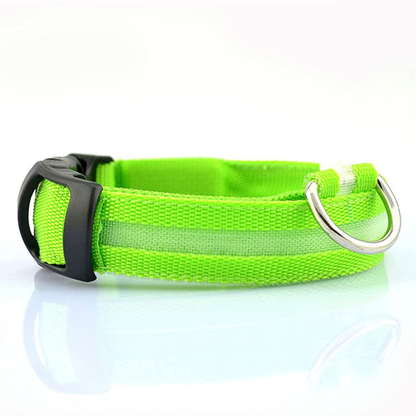 Collier LED pour Chiens, Réchargeable et Étanche