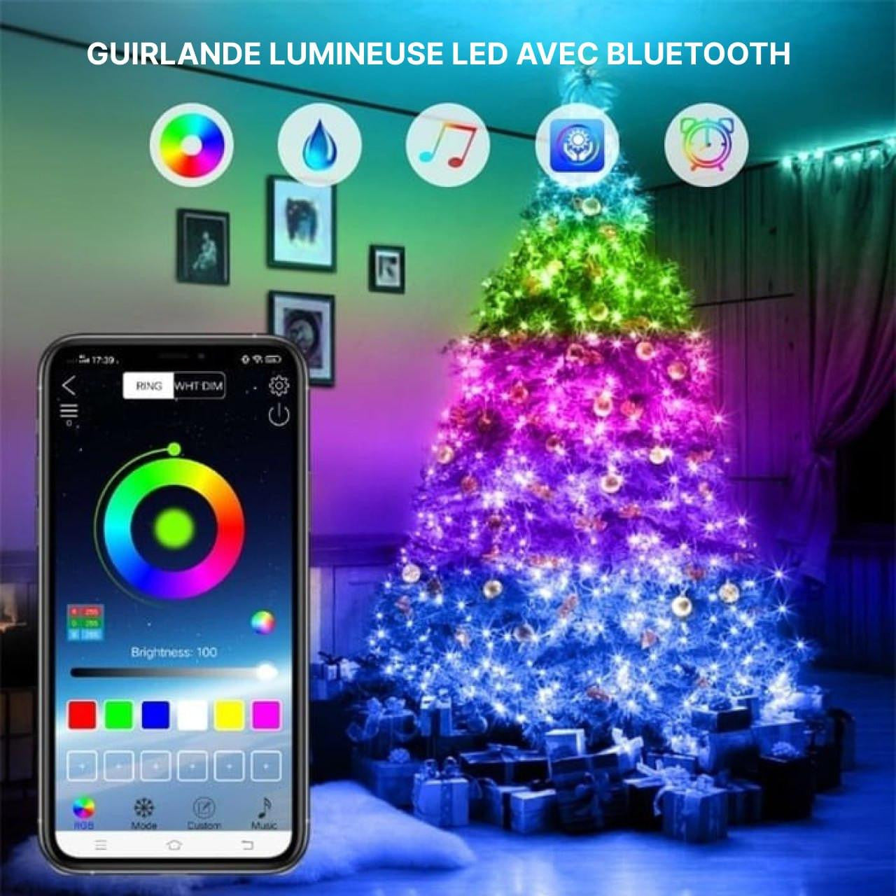 Guirlande Élégante LED avec Contrôle à Distance - blxckfr