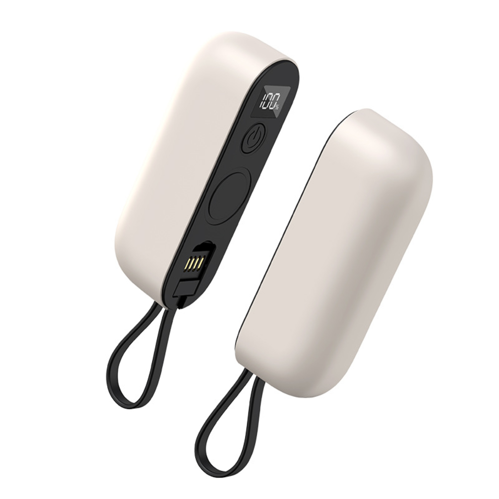 Chaufeurs de Mains Réchargeables pour Froid Extrême - BlxckFR