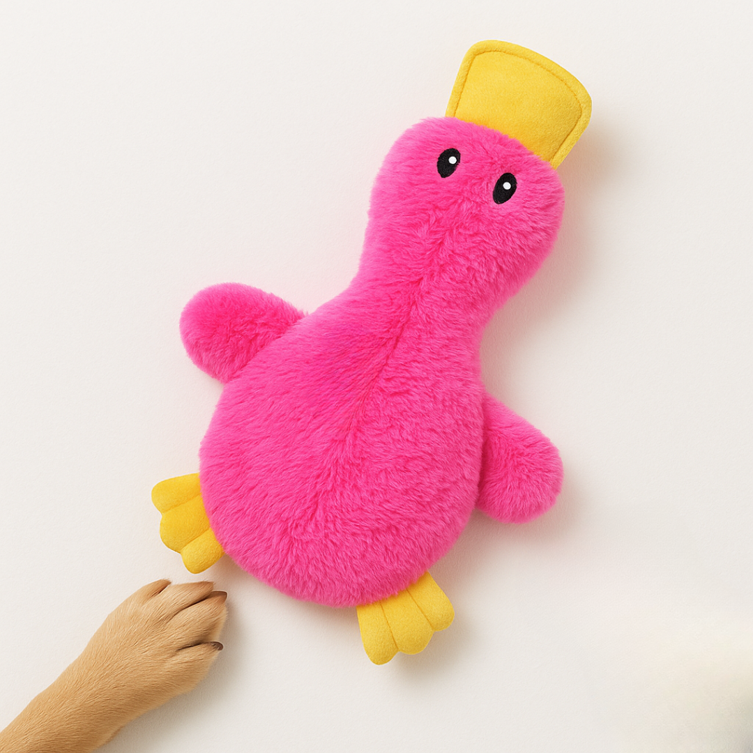 Jouet Canin en Peluche Canard Sonore
