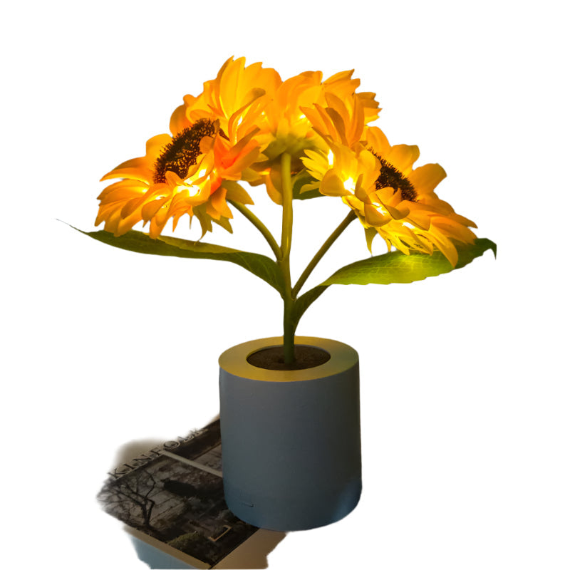 Lampe Solaire LED Décorative Extérieure - BlxckFR