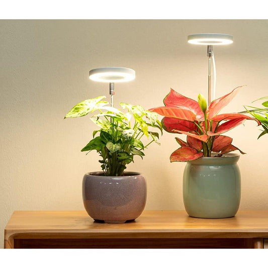 Lampe LED pour Plantes Intérieur Réglable - BlxckFR