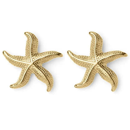 Boucles d'Oreilles Coquillage Délicates