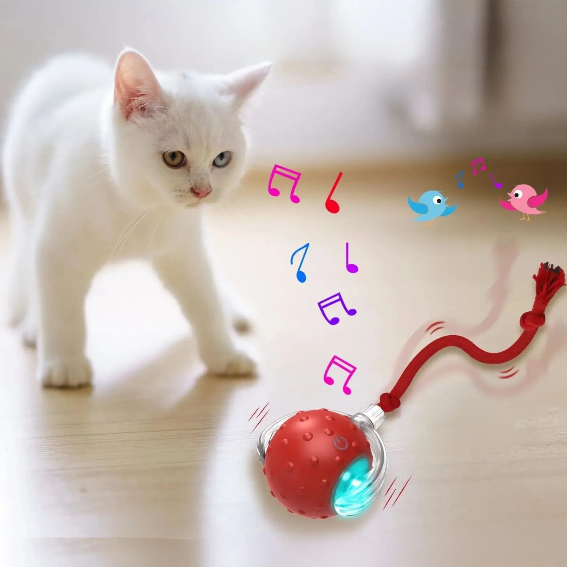 Jouet Animé pour Animaux de Compagnie - AmusementSansFin - blxckfr