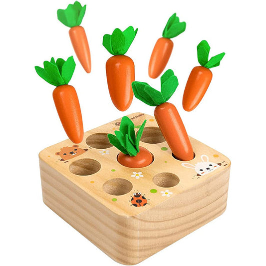 Jouets Éducatifs Verts pour Enfants - Blocs Montessori pour Apprentissage Amusant - BlxckFR