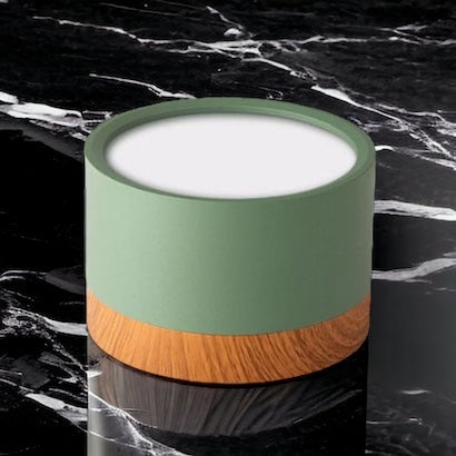 Luminaire LED Élégant Plafond Bas Consommation