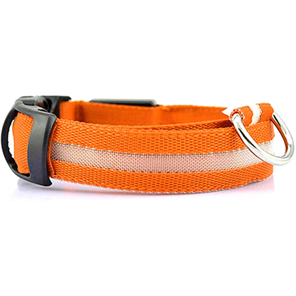 Collier LED pour Chiens, Réchargeable et Étanche