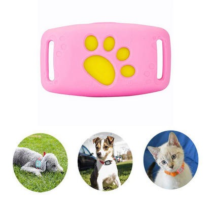Collier GPS pour Chiens et Chats avec Localisation