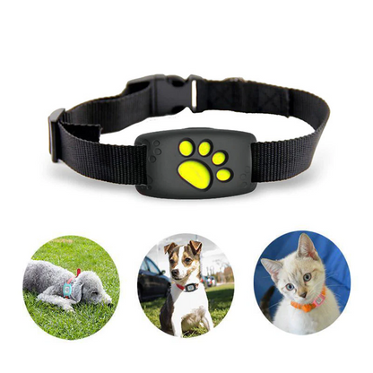 Collier GPS pour Chiens et Chats avec Localisation - BlxckFR