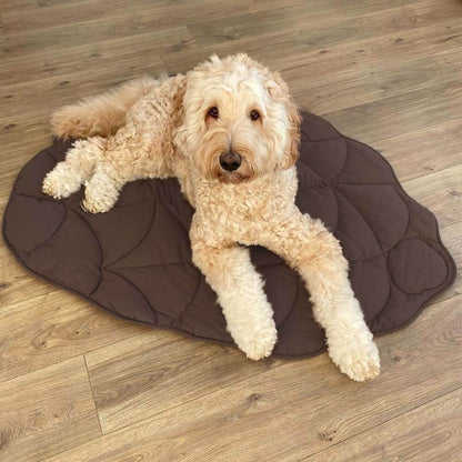 Couverture Douillette pour Chiens de Grande Taille