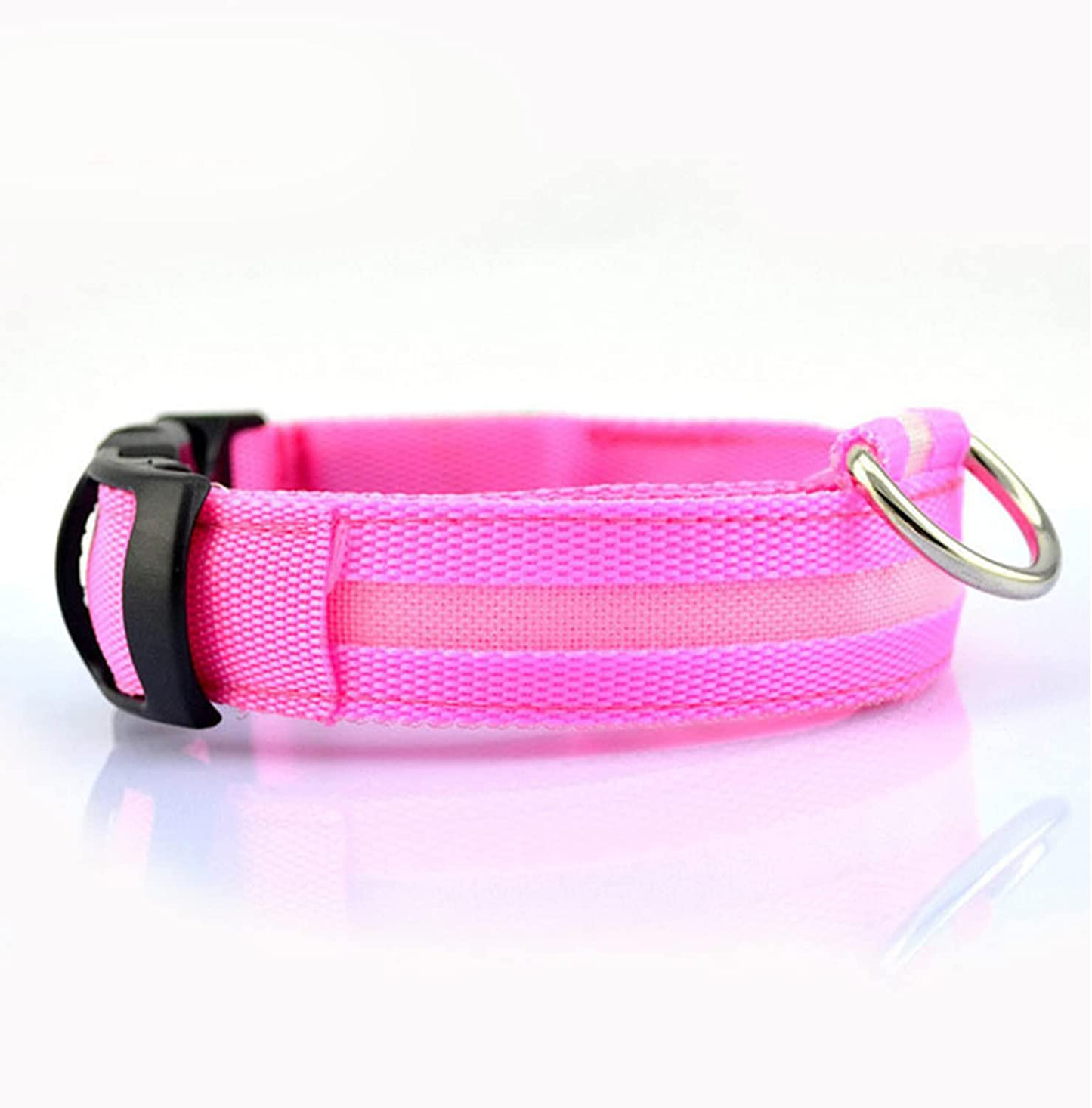 Collier LED pour Chiens, Réchargeable et Étanche