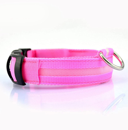 Collier LED pour Chiens, Réchargeable et Étanche