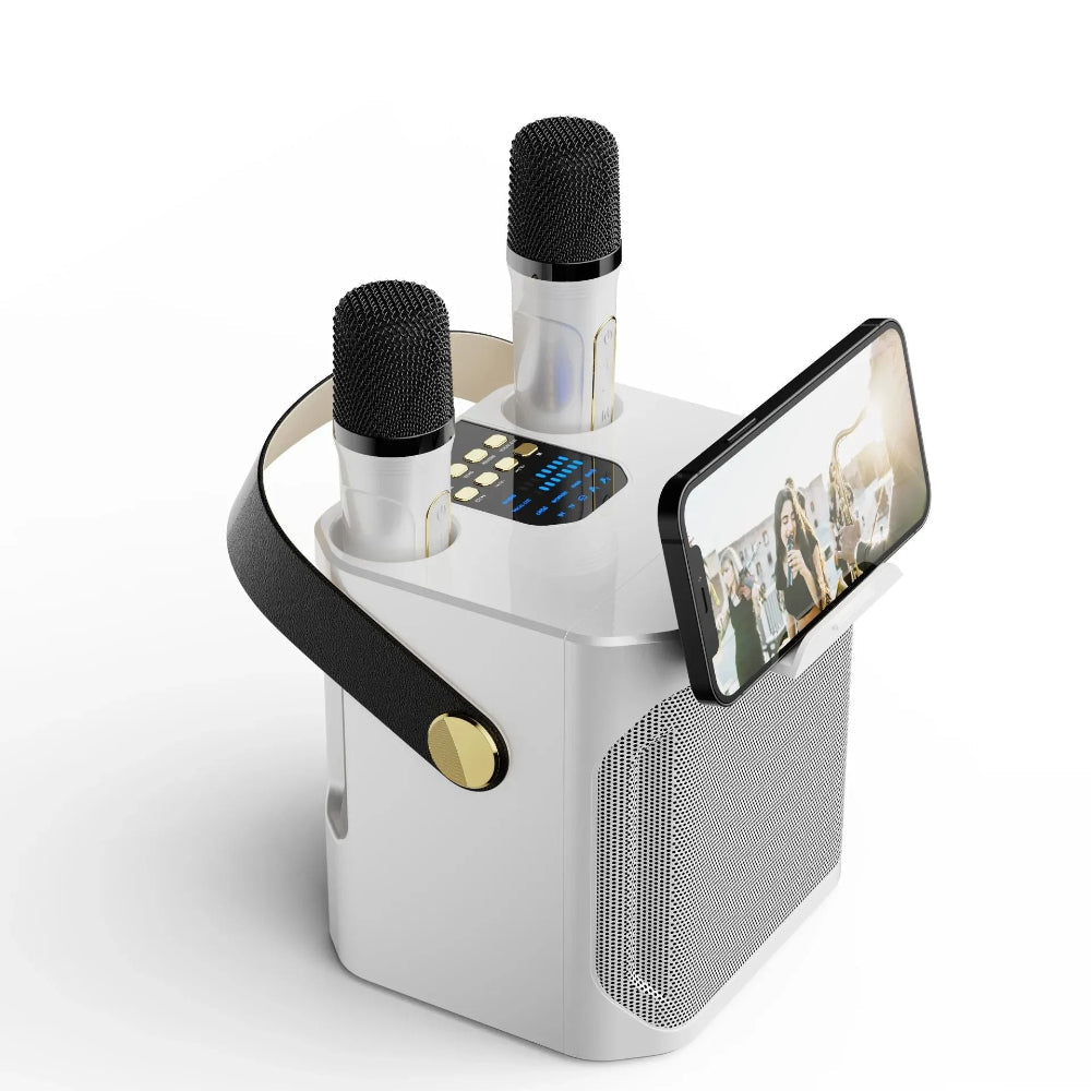 Enceinte Bluetooth Nomade Karaoké Sans Fil - BlxckFR