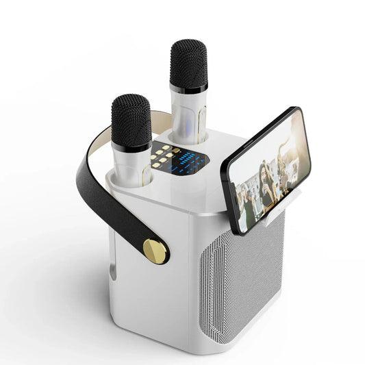 Enceinte Bluetooth Nomade Karaoké Sans Fil - BlxckFR
