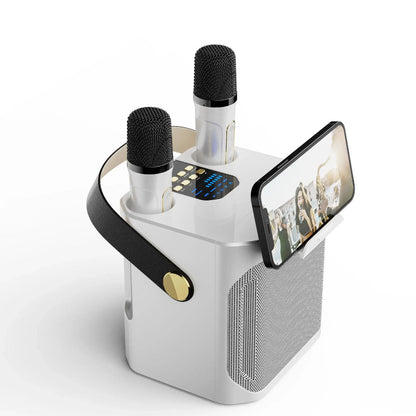 Enceinte Bluetooth Nomade Karaoké Sans Fil