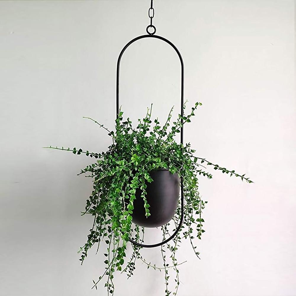 Cadre de Plante Élégant Murale