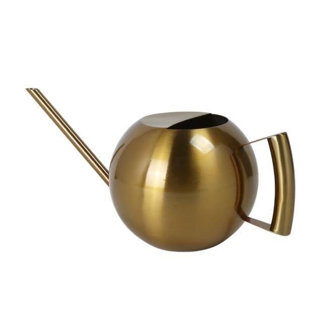 Arrosoir Design pour Plantes en Pot - Écoulement Doux et Précis