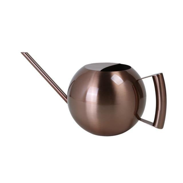 Arrosoir Design pour Plantes en Pot - Écoulement Doux et Précis