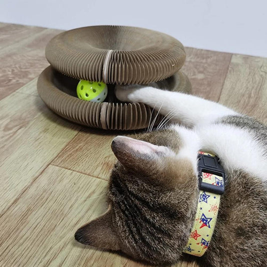 Jouet Chat Stimulation Intellectuelle Durée Longue - Foivo