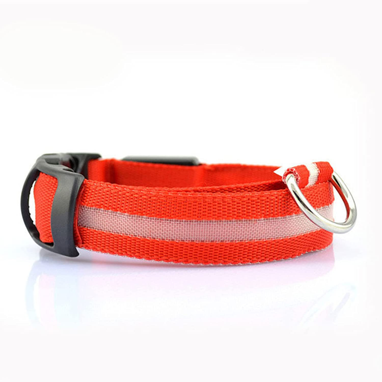 Collier LED pour Chiens, Réchargeable et Étanche