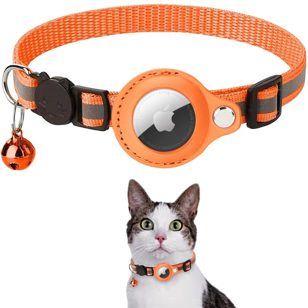 Collier LED pour Chat - Sécurité Nuit avec Fermeture Sure