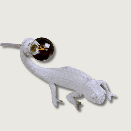 Lampe de Table en Résine Exotique avec Éclairage Chaud - Foivo
