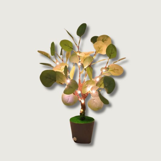 Lampe de Nuit LED Chic | Lumière Douce et Raffinée - Foivo