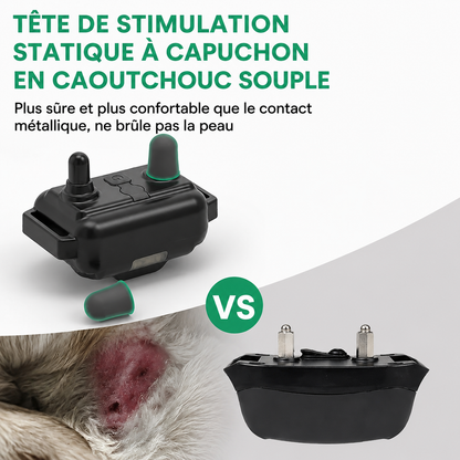 Collier Électrique Dressage Chien Télécommande Étanche