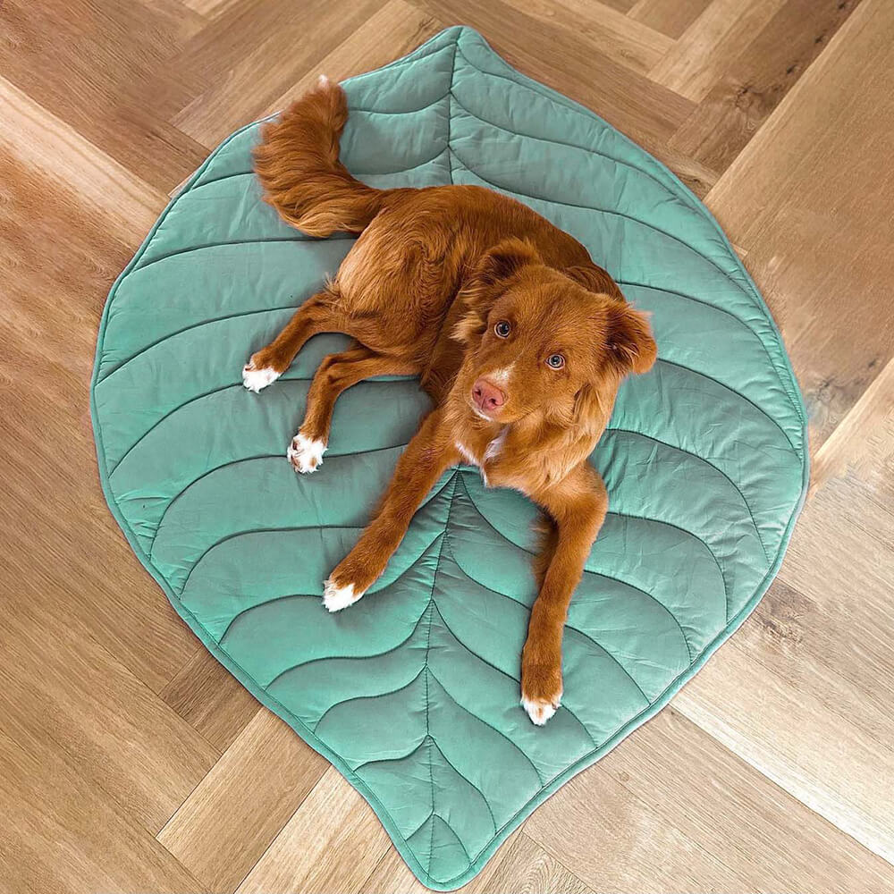 Couverture Douillette pour Chiens de Grande Taille
