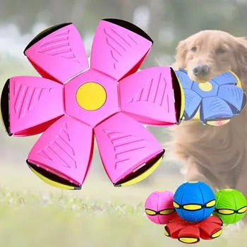 Disque de Lancement Canin – Jouet de Plaisir pour Chiens Énergiques